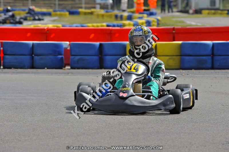 DSC_ (1395).jpg